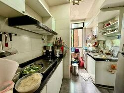 Cavenagh Court (D9), Apartment #497313871